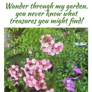 Thank you for visiting!